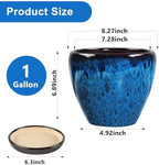 Ceramic Plant Pots With Saucer & Drainage Hole, 8 inch Indoor Flower Pots - Image 4