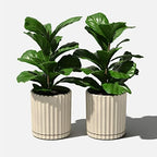 Veradek Demi Series Demi 6" Planter w/Tray - Sand, 2 Pack - Image 6
