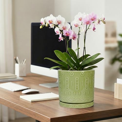 Eightpot Ceramic Pots for Plants, 8 Inch Plant Pot with Drainage Hole and Tray, Round Planters for Indoor Plants, Modern Flower Pot, Decorative Planter, Living Room Decor, Gardening Gifts, Green - Image 3