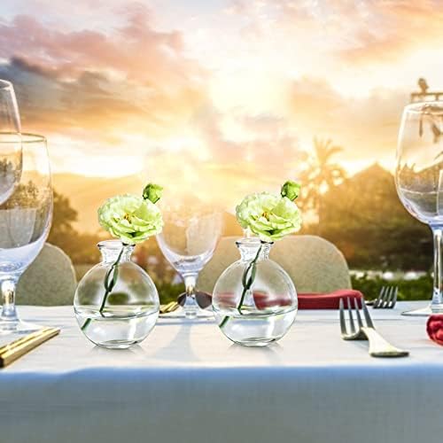 SOUJOY Set of 12 Small Glass Ball Bud Vase, Unique Mini Low Sitting Flower Vase, Clear Floral Centerpieces for Home Decor, Weddings, Floral Arrangements, Events, Parties - Image 5