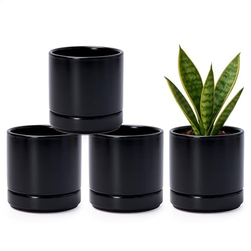 D'vine Dev 4-Pack Ceramic Pots with Saucers, Black, 4.7 in, 94-X-B-2 by DvineDevPlanterPotsandStand
