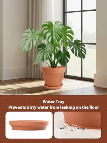 INGOFIN Terracotta Pot with Saucer - 10 Inch Ceramic Clay Pot for Plants with Drainage Hole, Large Terra Cotta Flower Planter with Tray for Indoor Outdoor Plants - Image 4