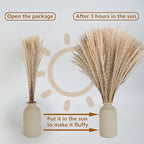 610 PCS Dried Pampas Grass Decor, Dried Flower Bouquets for Wedding, Home, Centerpiece Table, Modern Home, Western Living Room, Nurserie, Nursery, Boho Room, Beach, Women Office, and Boho Decor - Image 6