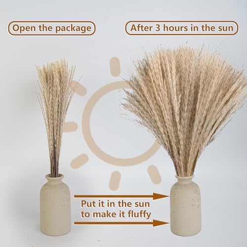 610 PCS Dried Pampas Grass Decor, Dried Flower Bouquets for Wedding, Home, Centerpiece Table, Modern Home, Western Living Room, Nurserie, Nursery, Boho Room, Beach, Women Office, and Boho Decor - Image 6