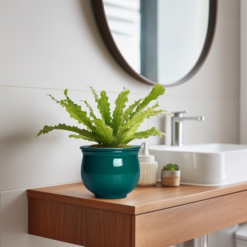 6 Inch Self Watering Plant Pots, Ceramic African Violet Pot with Absorbent Inner Pot, Easy Self Watering Pots for Indoor Plants, Ceramic Planter, Room Decor, Plant Lover Gifts, Blackish Green - Image 5