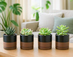D'vine Dev 4-Pack Ceramic Pots with Saucers, Black/Tan, 3.5 in, 94-X-A-7 - Image 3