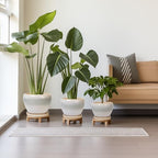 Ceramic Flower Pots, 10+8+6 Inch Ceramic Planters, White-Grey - Image 2