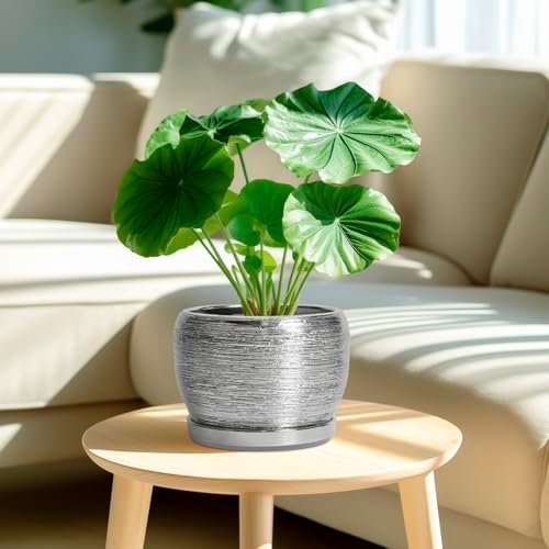 SQOWL Ceramic Pot for Plants - 8 Inch Planter with Drainage Hole and Saucer, Round Planter Indoor Outdoor, Modern Decorative Flower Pot, House Decor, Gifts for Plant Lovers, Silver - Image 2