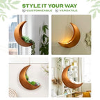 Gold Hanging Moon Planter – with Drain Holes - Moon Room Decor - Unique Planters for Succulents,Air Plant, Cactus, Artificial Plants- Plant Lover Gifts - Boho,Hippie, Birthdays,Witchy Gifts for Women - Image 4