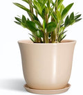 Ceramic Planter, 10 Inch Plant Pot for Indoor Plants, Beige by SUNPOTFOR