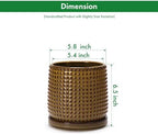 D'vine Dev Beaded Ceramic Pot with Saucer, 6 in, Olive Bronze, 27-C-X-N - Image 3