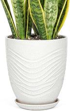 11.8 Inch Flower Pots for Indoor Plants,Ceramic Planter with Saucer Drainage Leak-Proof Mesh Gardening Gloves (Water-Ripple White) by Unknown