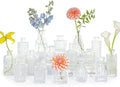 SUPMIND 16Pcs Clear Glass Bud Vase, Small Flower Vase for Centerpieces Bulk by SUPMIND