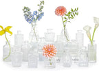 SUPMIND 16Pcs Clear Glass Bud Vase, Small Flower Vase for Centerpieces Bulk by SUPMIND
