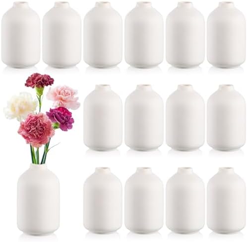 Tioncy 15 Set 5.5"*3" White Ceramic Bud Vases Bulk Boho Valentine's Day Decoration Centerpieces Small Flower White Ceramic Vases for Dry Flowers Pampas Grass Home Wedding DIY Table Decor by Tioncy