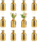 NUPTIO Gold Glass Bud Vases, Mini Vintage Bottle, 5.51" Tall, 12 Pcs by Nuptio