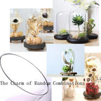 Glass Cloche Bell Jar with Wooden Base,Clear Glass Display Dome Cover,khaki - Image 4