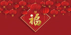 Laeacco 15x8FT Chinese New Year Photography Backdrop Spring Festival Backdrop Red Lanterns Good Fortune Luck Blessing Happy New Year Party Decoration Banner Adults Portrait Photo Studio Shoot by Laeacco