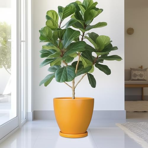 10 Inch Plant Pot - Ceramic Planter with Drainage Hole and Saucer, Modern Flower Pot, Round Planters for Indoor Plants, Home Patio Bathroom Porch Garden Living Room Decor, Orange - Image 2