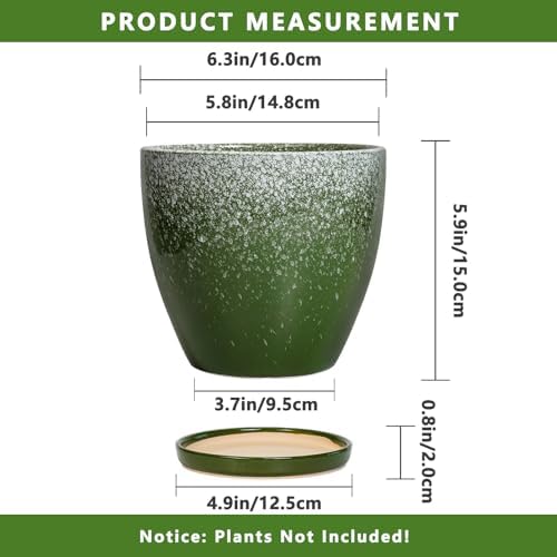 Ceraimc Plant Pot - 6.3 Inch Planter with Drainage and Plant Tray, Round Succulent Planters, Decorative Flower Pot for Indoor, Room Office Patio House Decor, Gifts for Women Men, Green - Image 3