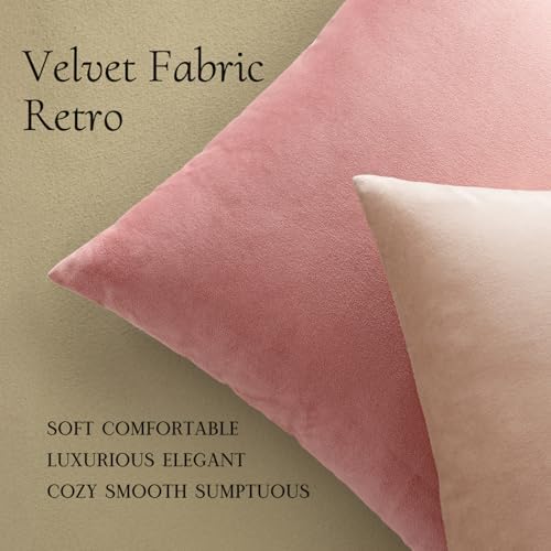 MIULEE 24x24 Inch Pack of 2 Euro Velvet Throw Pillow Covers Dusty Pink - Image 6