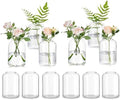 Glasseam Glass Bud Vases for Single Stem Flower, Small Clear Vase Set of 12 by Glasseam