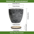 Ceraimc Planter - 8 Inch Plant Pot for Indoor Outdoor Plants, Decorative Round Planters, Flower Pot with Drainage and Saucer, Garden Porch House Room Decor, Plant Lover Gifts, Grey - Image 3