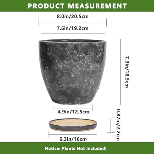 Ceraimc Planter - 8 Inch Plant Pot for Indoor Outdoor Plants, Decorative Round Planters, Flower Pot with Drainage and Saucer, Garden Porch House Room Decor, Plant Lover Gifts, Grey - Image 3