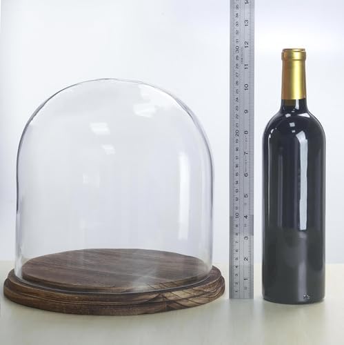 CYS EXCEL Glass Cloche Dome with Lightly Charred Wood Base (H:11" D:11") | Multiple Size Choices Decorative Showcase Display for Antique Collectibles | Bell Jar Terrarium & Dessert Cover - Image 3