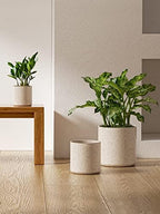 LE TAUCI 10+8+6 Inch Ceramic Pots for Plants, Indoor Planters with Drainage Hole and Plug, Modern Cylinder Flower Pots Set of 3 for Living Room and Bedroom, Glossy, Linen Birch - Image 4