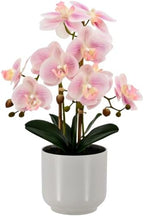 Fake Orchid-19”tall Artificial Indoor Potted Plant for Home Decor-Pink by Unknown