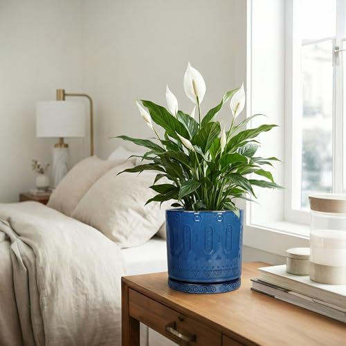 Eightpot 8 Inch Planter, Ceramic Plant Pots with Drainage Hole and Tray, Round Flower Pots for Indoor Plants Outdoor, Boho Planter, Decorative Pot for Plants, Plant Lover Gifts, House Decor, Blue - Image 5