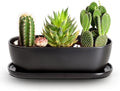 E-liu 11 Inch Oval Ceramic Planter Pot with Drainage Hole Saucers by Creatingwarmandrefinedlifestylekitchenandhomeessentials