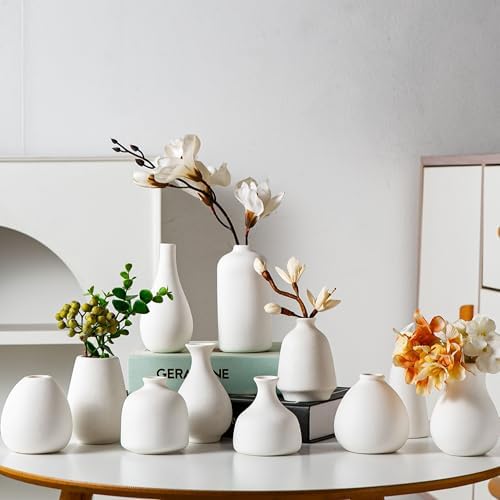 Tanvecle Small White Vases, Ceramic Bud Vase Set 11, Modern Home Decor by Tanvecle