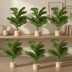 Soulchen 6 Pcs 12" Fiddle Leaf Fig Mini Artificial Tree Plants with Base by Soulchen