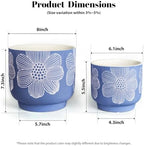 Ceramic Plant Pots, 8+6 Inch, 2 Pcs Indoor Planters with Drainage Holes - Image 5