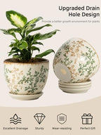 Ceramic Plant Pots, Nursery Pots with Drainage Hole, 3.5 Inch Succulent Pots for Plants, Small Indoor Flower Pots, Modern Decorative Planters for House Plants, Garden Planters, White Green - Image 7