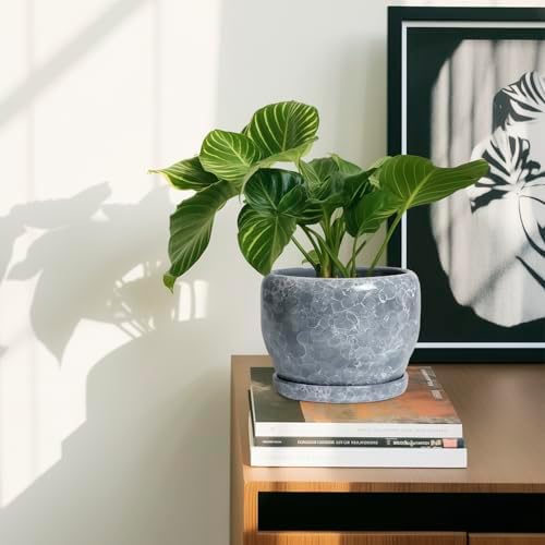 SQOWL 6 Inch Plant pots Indoor - Ceramic Planter with Drainage Hole and Saucer, Ceramic Flower Pot Outdoor, Decorative Round Planter, Home Decor Living Room, Gifts for Plant Lovers, Gray - Image 6