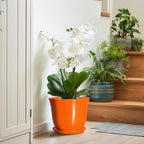 10 Inch Plant Pot, Ceramic Pots for Plants with Drainage, Orange - Image 6