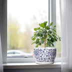 SQOWL Ceramic Pots for Plants - 8 inch Ceramic Planter with Drainage Hole and Saucer, Round Flower Pots for Indoor Plants, Porcelain Planter Outdoor, Porch Decor, Gifts for Women Men, Blue and White - Image 4