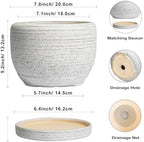 SQOWL Ceramic Plant Pots - 8 inch Planter for Indoor Plants, Round Flower Pot with Drainage Hole and Plant Saucer, Modern Decorative Ceramic Planter Outdoor, Home Room Decor, Garden Gifts, Gray - Image 3