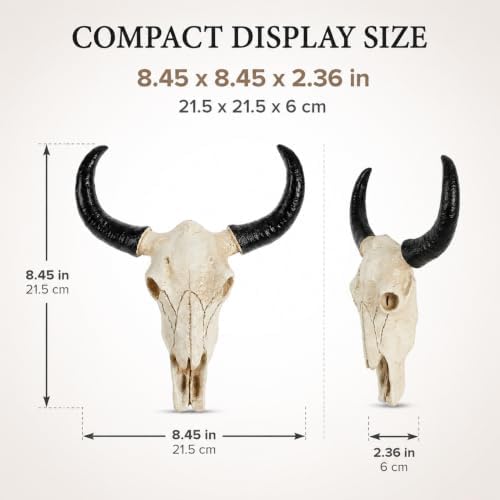 IMIKEYA Cow Skull Wall Decor, Resin Bull Skull with Horns, 8.5x8.5x2.4 Inch - Image 4