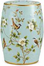 Lefedrasticity Ceramic Garden Stool Outdoor Decorative Garden Stools Hand-Painted Chinoiserie Decor Drum Stool for Garden Patio Backyard Balcony Living Room Bathroom (Gray, Pattern 1) by %F0%9D%97%9F%F0%9D%97%B2%F0%9D%97%B3%F0%9D%97%B2%F0%9D%97%B1%F0%9D%97%BF%F0%9D%97%AE%F0%9D%98%80%F0%9D%98%81%F0%9D%97%B6%F0%9D%97%B0%F0%9D%97%B6%F0%9D%98%81%F0%9D%98%86