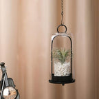 12" High Versatile Modern Metal Hurricane Lantern with Handmade Sturdy Glass Dome in Black for Pillar Candle & Plants, for Living Room, Porch, Mantel Decoration (Black, 5"x12") - Image 4
