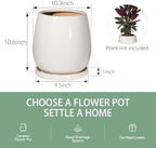10.3 Inch Ceramic Glaze Plant Pot with Saucer, Flower Pots with Drainage Hole Mesh Net(Hemp-Gray Dot) - Image 5
