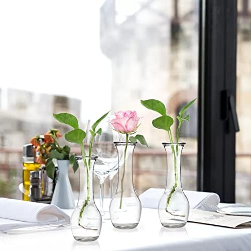 ZOOFOX Set of 16 Glass Bud Vase, Small Vases for Single Rose, Clear Glass Flower Bottle for Rustic Wedding Centerpieces, Home Table Flower Decor, Floral Arrangements - Image 5