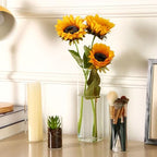 Fixwal 12pcs Clear Glass Cylinder Vases, 4, 6, 8, 10 Inch Tall - Image 6
