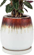 10.3 Inch Ceramic Glaze Plant Pot with Saucer, Flower Pots with Drainage Hole Mesh Net (Hemp-White) by Unknown