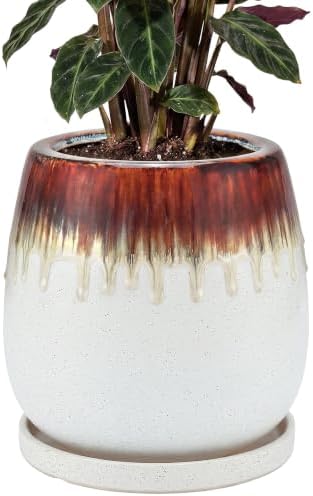 10.3 Inch Ceramic Glaze Plant Pot with Saucer, Flower Pots with Drainage Hole Mesh Net (Hemp-White) by Unknown