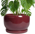SQOWL Ceramic Pot for Plants - 10 Inch Indoor Planter with Drainage Hole and Saucer, Round Modern Planter Outdoor, Decorative Large Plant Pot for Flower, Living Room Decor, Garden Gifts, Red by SQOWL
